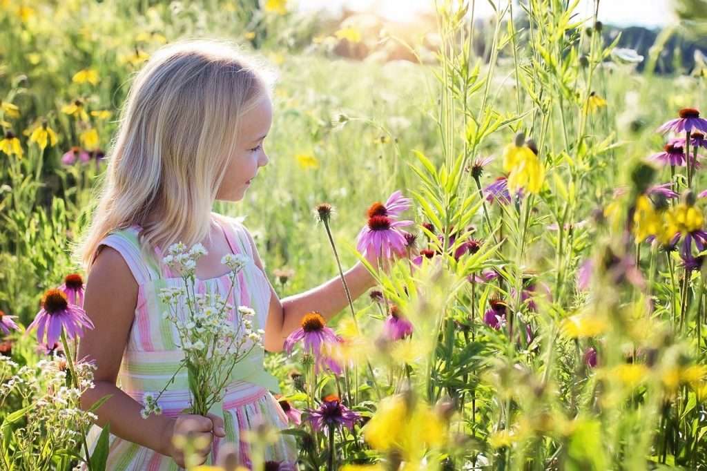 Heilkraeuter-fuer-kindergesundheit