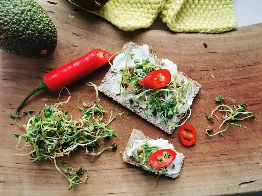 Sprossen einfrieren Keimlinge