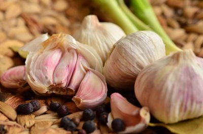knoblauch