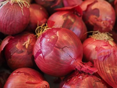 rote-zwiebel